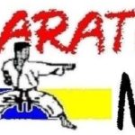 Logo_Karate NÖ